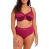 Lingerie Elomi Gestreepte Bh'S | Gestreepte Bh Met Volledige Cup Bes